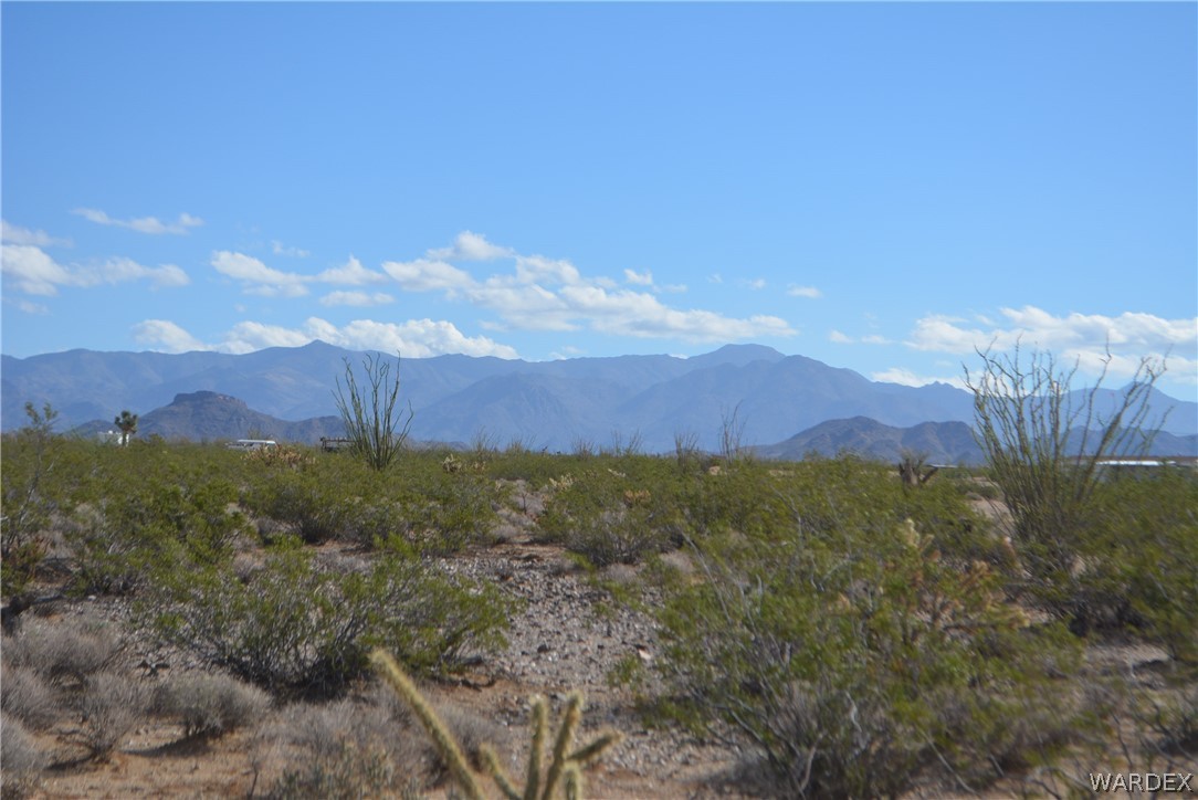 Lot 24 South Carmen Road Yucca, AZ 86438 - Photo 6 of 18 Gallery Image 6