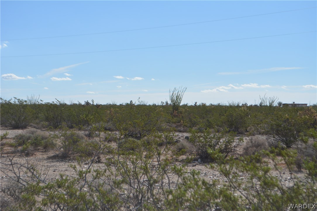 Lot 24 South Carmen Road Yucca, AZ 86438 - Photo 8 of 18 Gallery Image 8