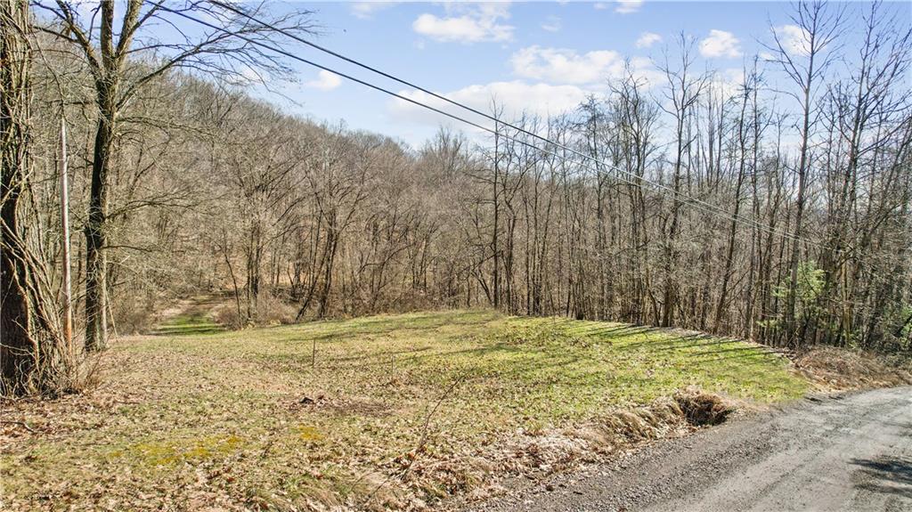 155 Taylor Road Confluence, PA 15424 - Photo 4 of 19 a view of a yard with large trees