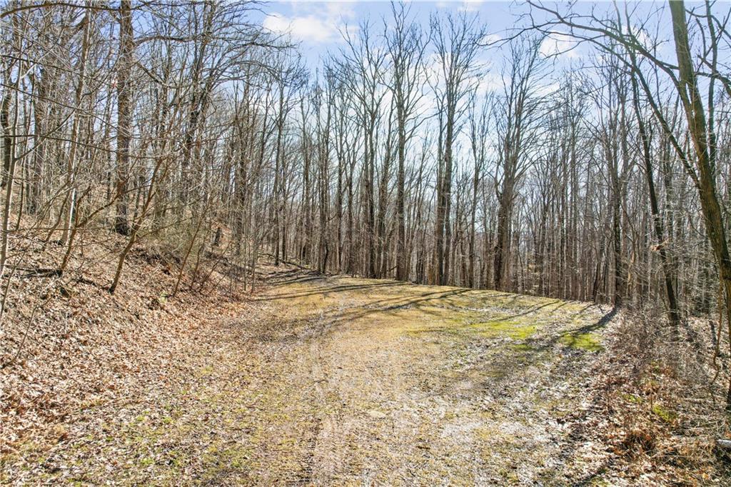 155 Taylor Road Confluence, PA 15424 - Photo 8 of 19 a view of a backyard of the house