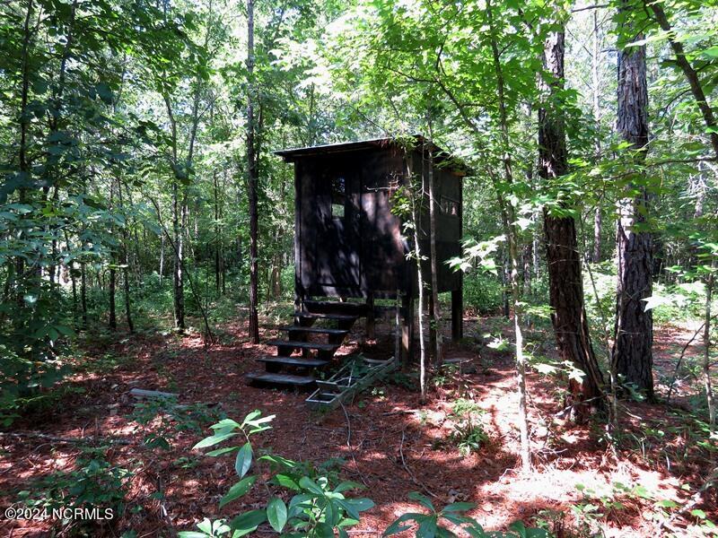 Tbd Swimming Hole Road Delco, NC 28436 - Photo 20 of 21 IMG_7710