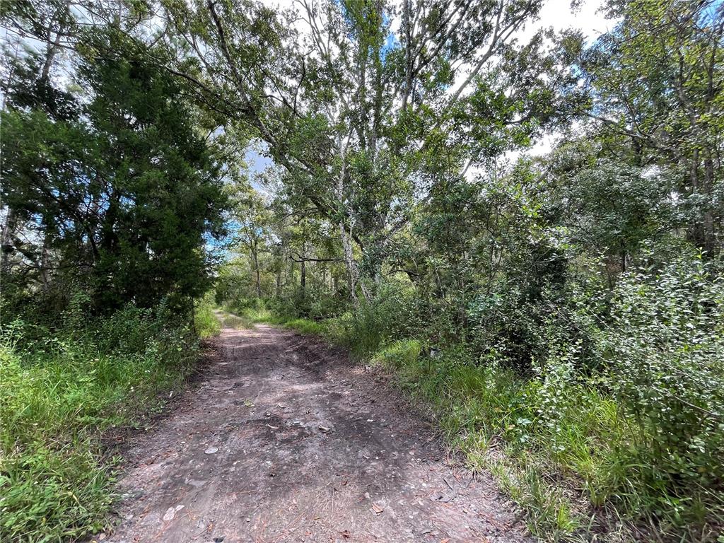a view of a yard with a tree