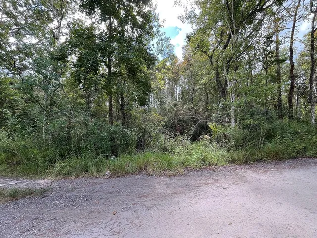 a view of a out door space