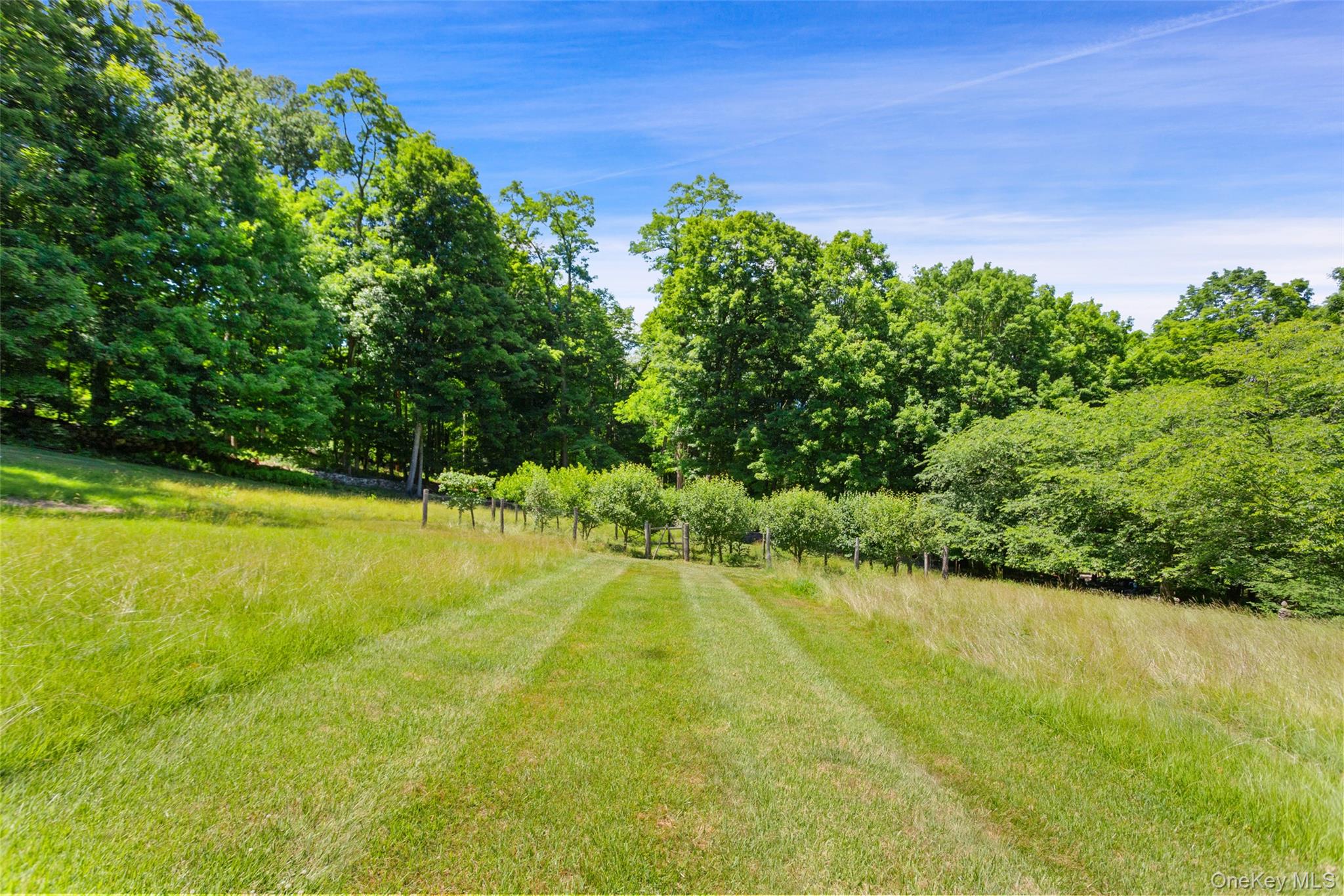 242 Croton Lake Road Katonah, NY 10536 - Photo 28 of 29