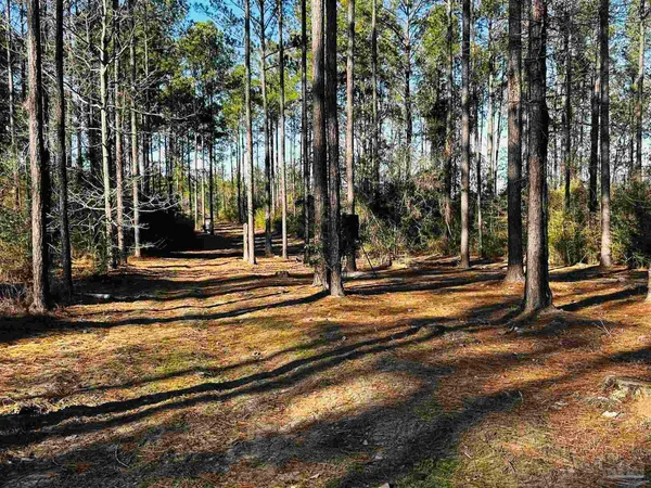 $99,900 | Lot 406 Country Mill Road, Jay, FL 32565