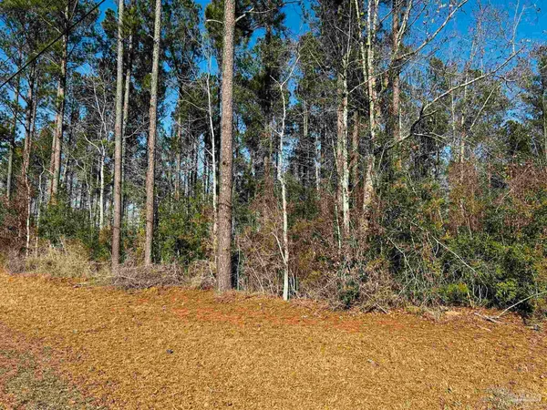 $99,900 | Lot 406 Country Mill Road, Jay, FL 32565