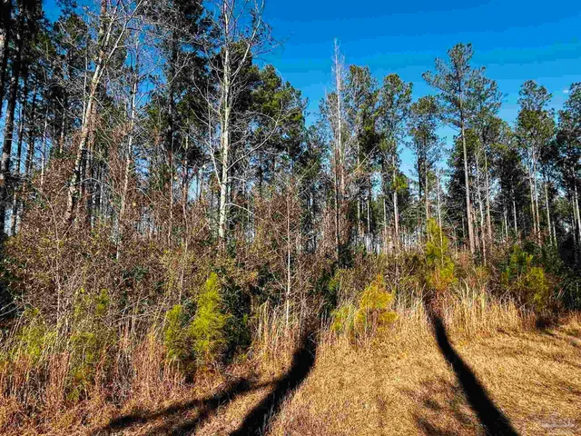 $99,900 | Lot 406 Country Mill Road, Jay, FL 32565