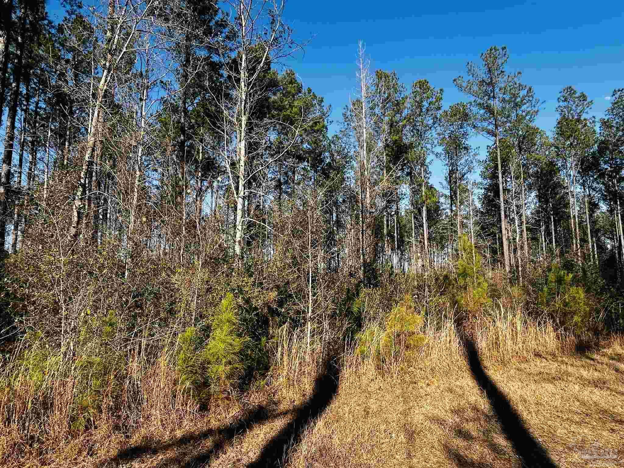 Lot 406 Country Mill Road Jay, FL 32565 - Photo 4 of 10