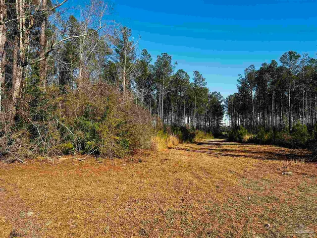 $99,900 | Lot 406 Country Mill Road, Jay, FL 32565