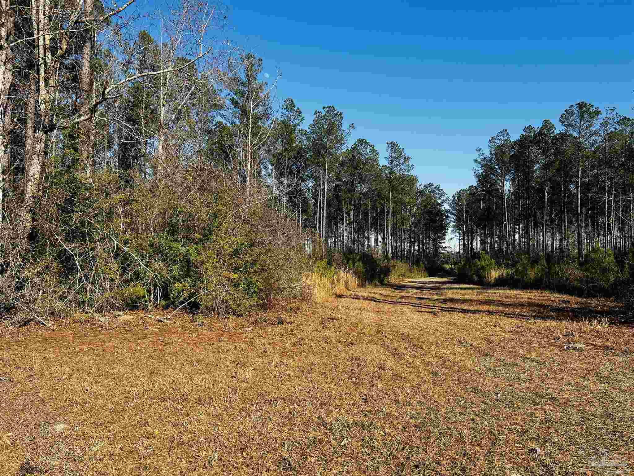 Lot 406 Country Mill Road Jay, FL 32565 - Photo 5 of 10