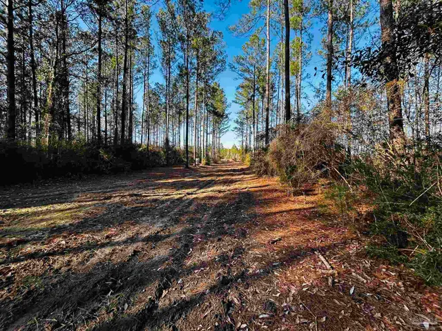 $99,900 | Lot 406 Country Mill Road, Jay, FL 32565