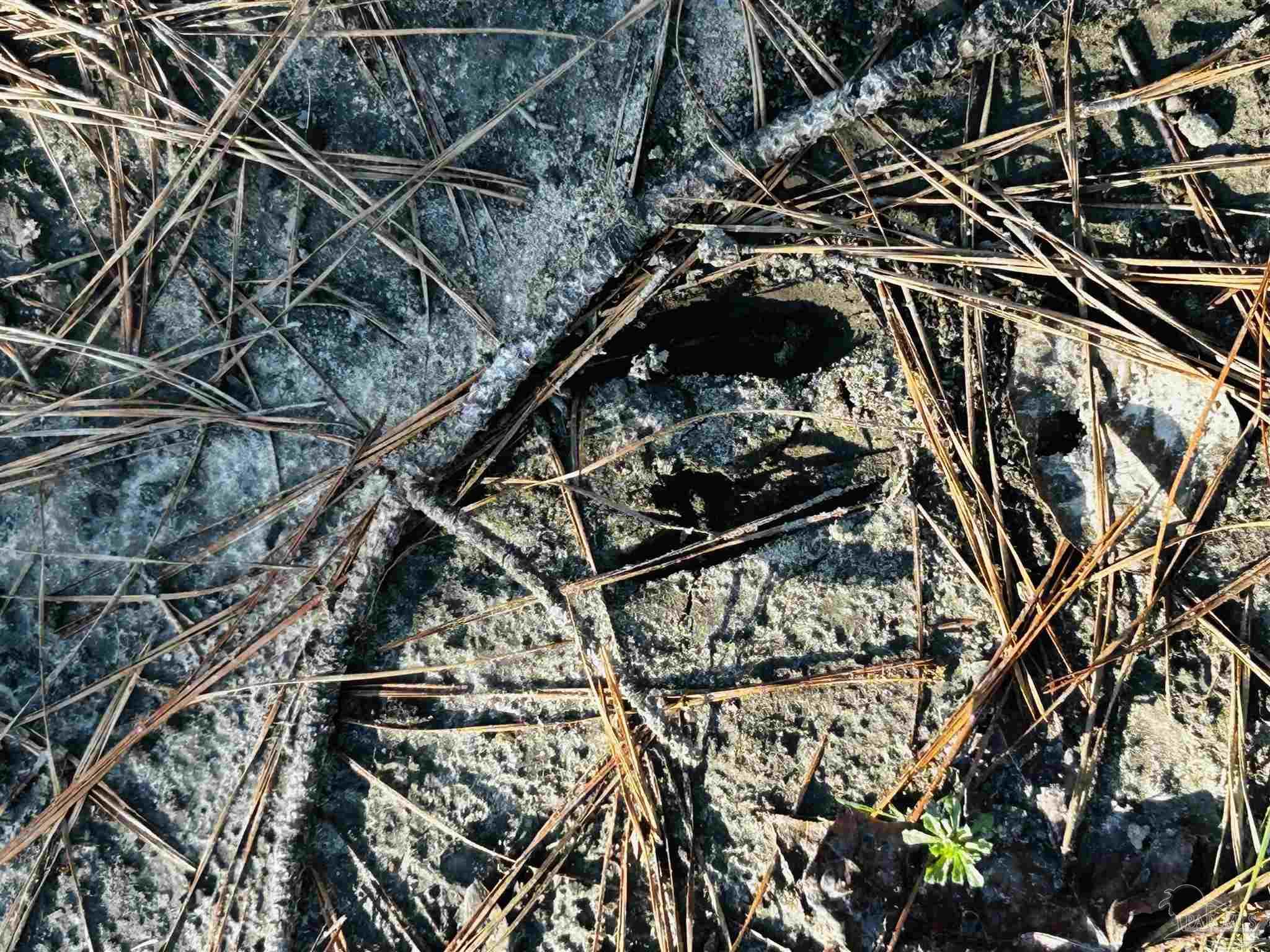 Lot 406 Country Mill Road Jay, FL 32565 - Photo 8 of 10