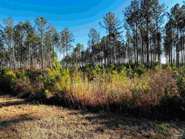 $99,900 | Lot 406 Country Mill Road, Jay, FL 32565