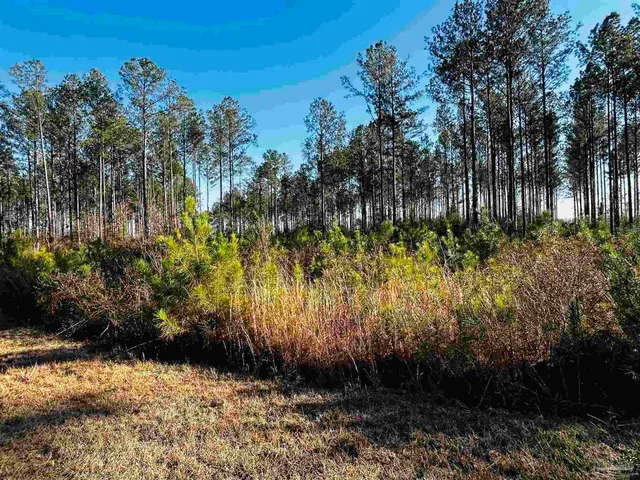 $99,900 | Lot 406 Country Mill Road, Jay, FL 32565