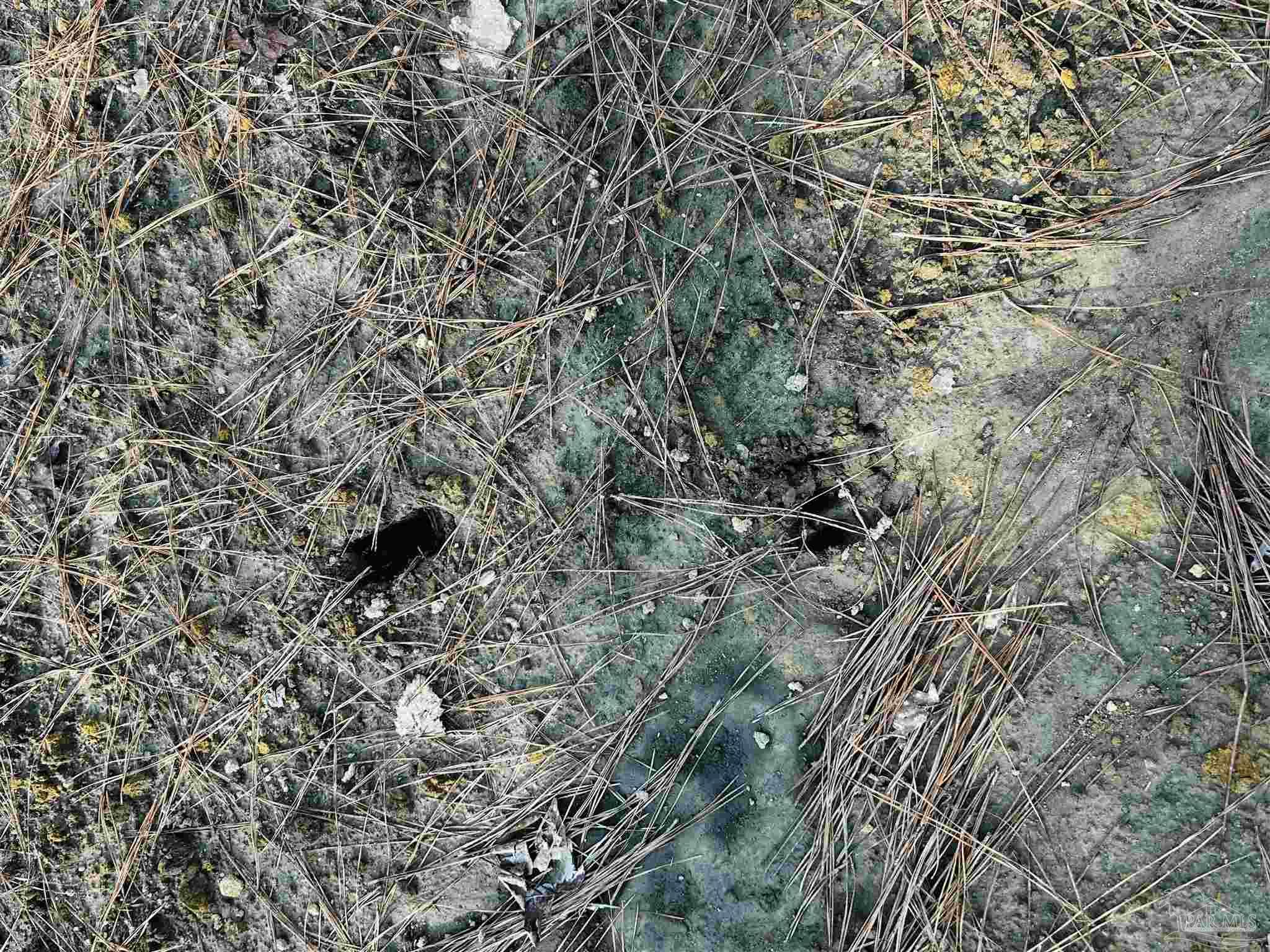 Lot 406 Country Mill Road Jay, FL 32565 - Photo 10 of 10