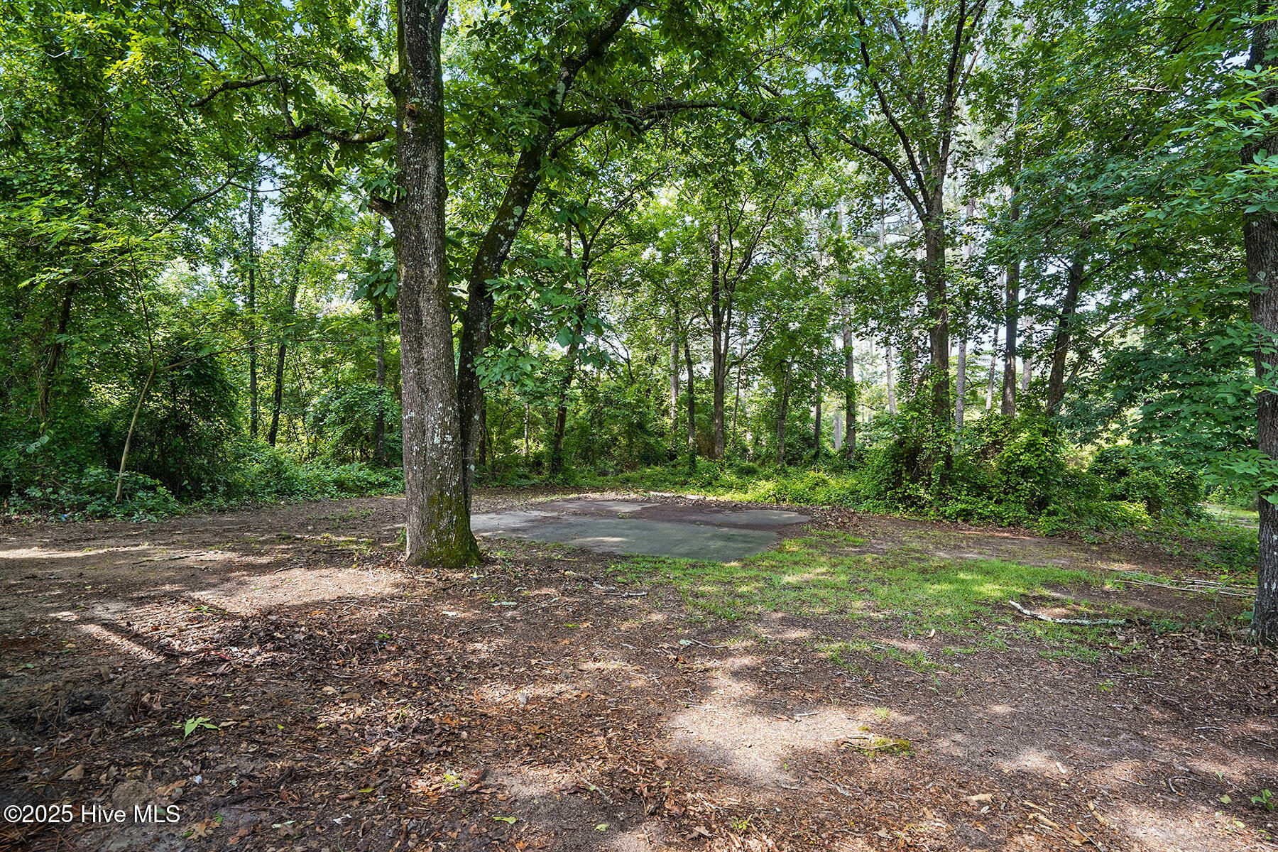 1392 L L Cooper Road Cameron, NC 28326 - Photo 29 of 31 Back Yard