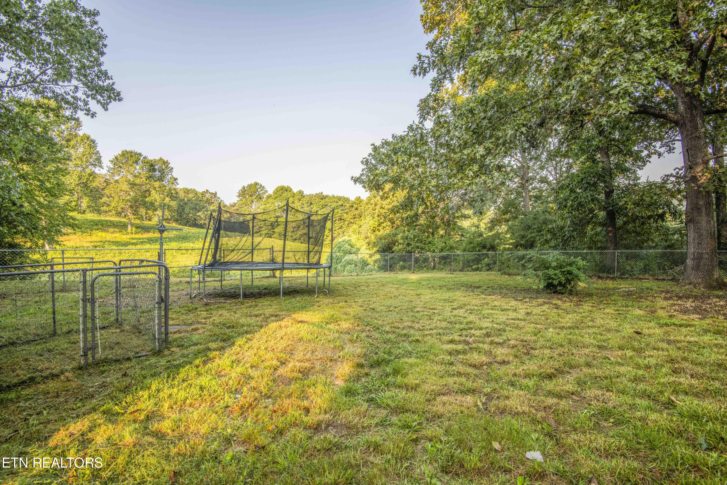 197 Wedgewood Lane Spring City, TN 37381 - Photo 19 of 57 yard 6_1