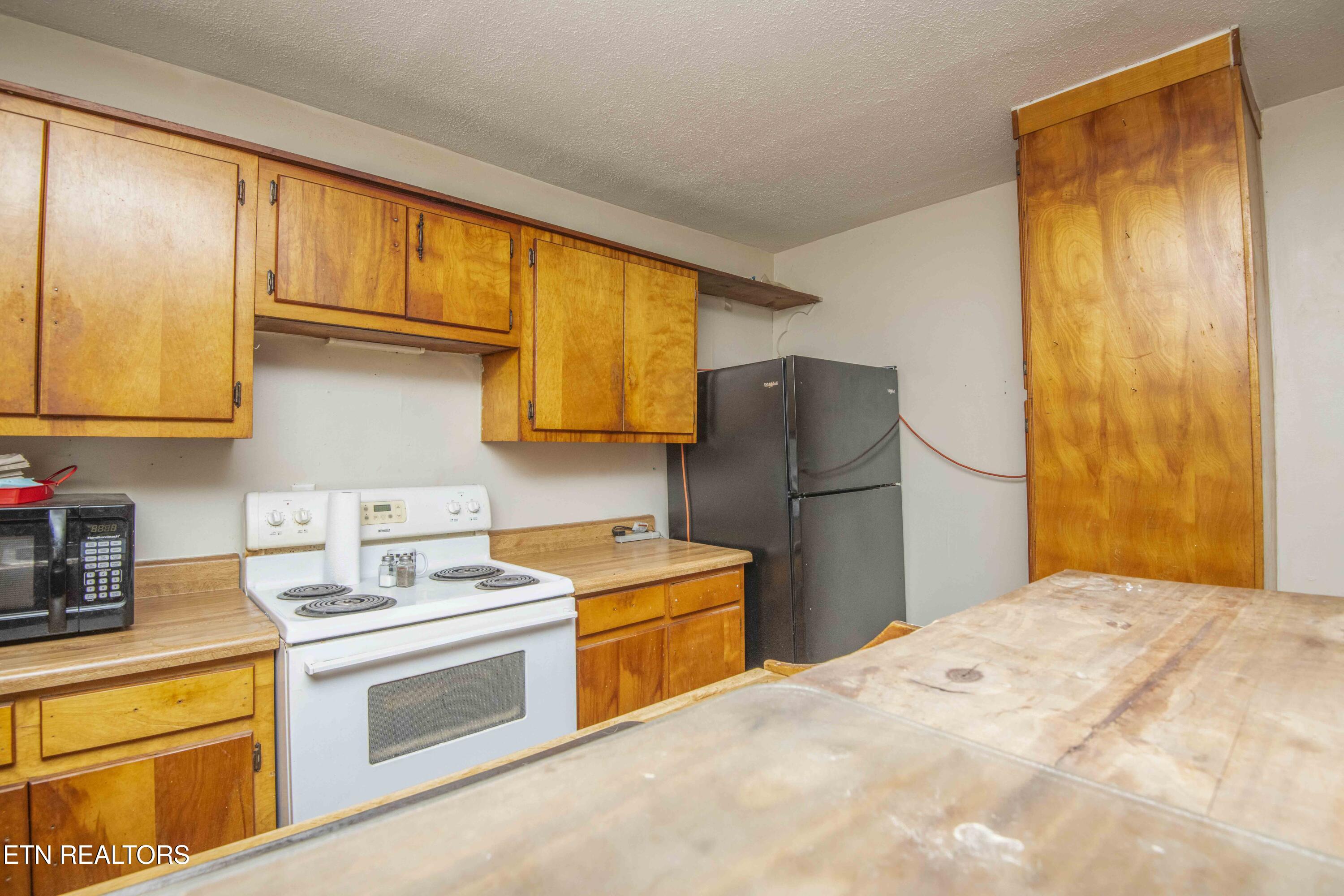 197 Wedgewood Lane Spring City, TN 37381 - Photo 23 of 57 kitchen 3_1