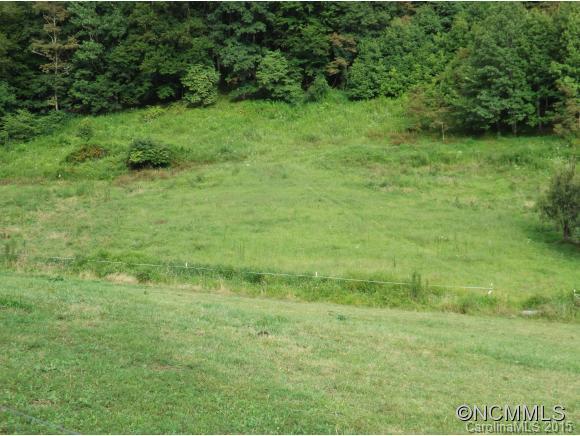 742 Silvers Cove Road Clyde, NC 28721 - Photo 3 of 24