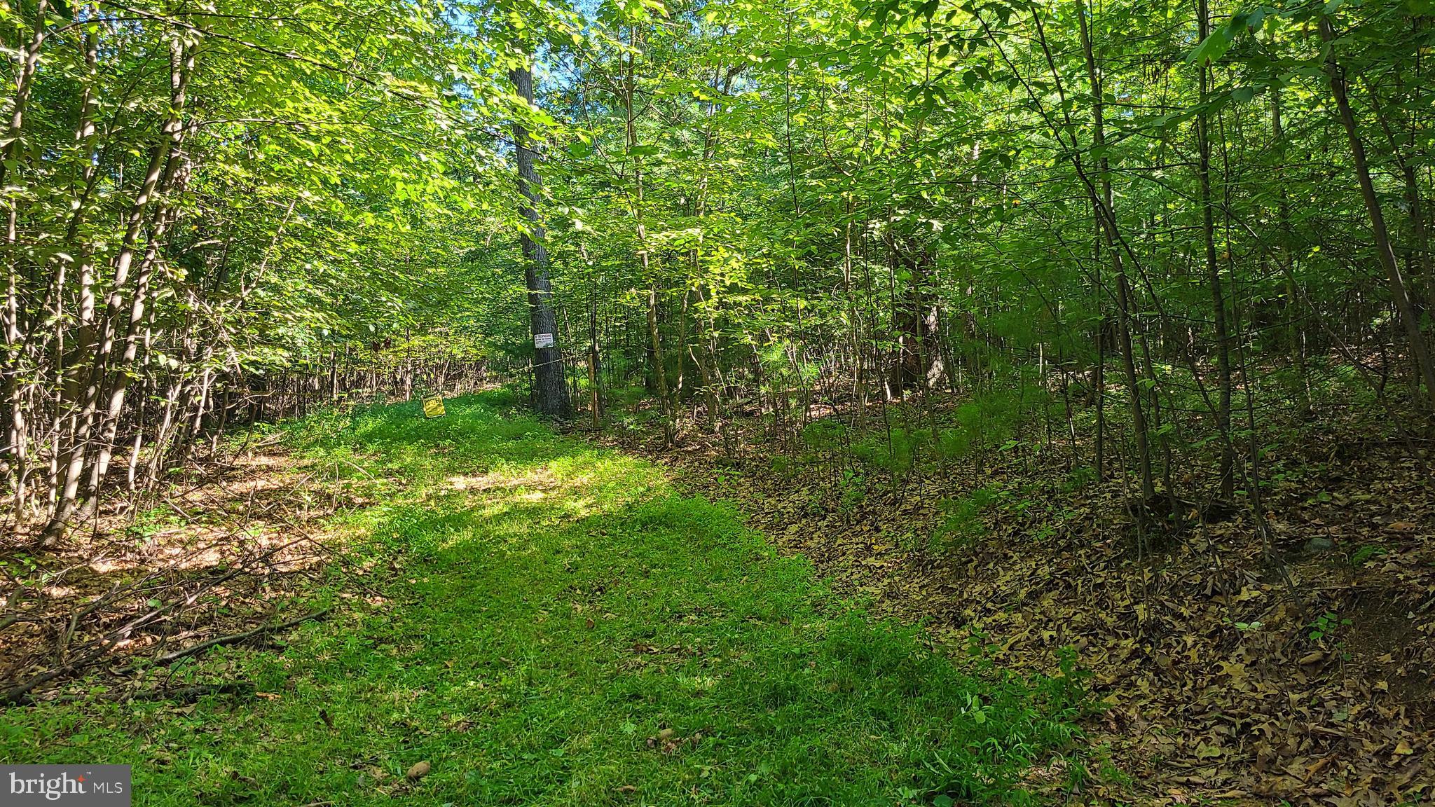 Driveway cut parking area at sale sign