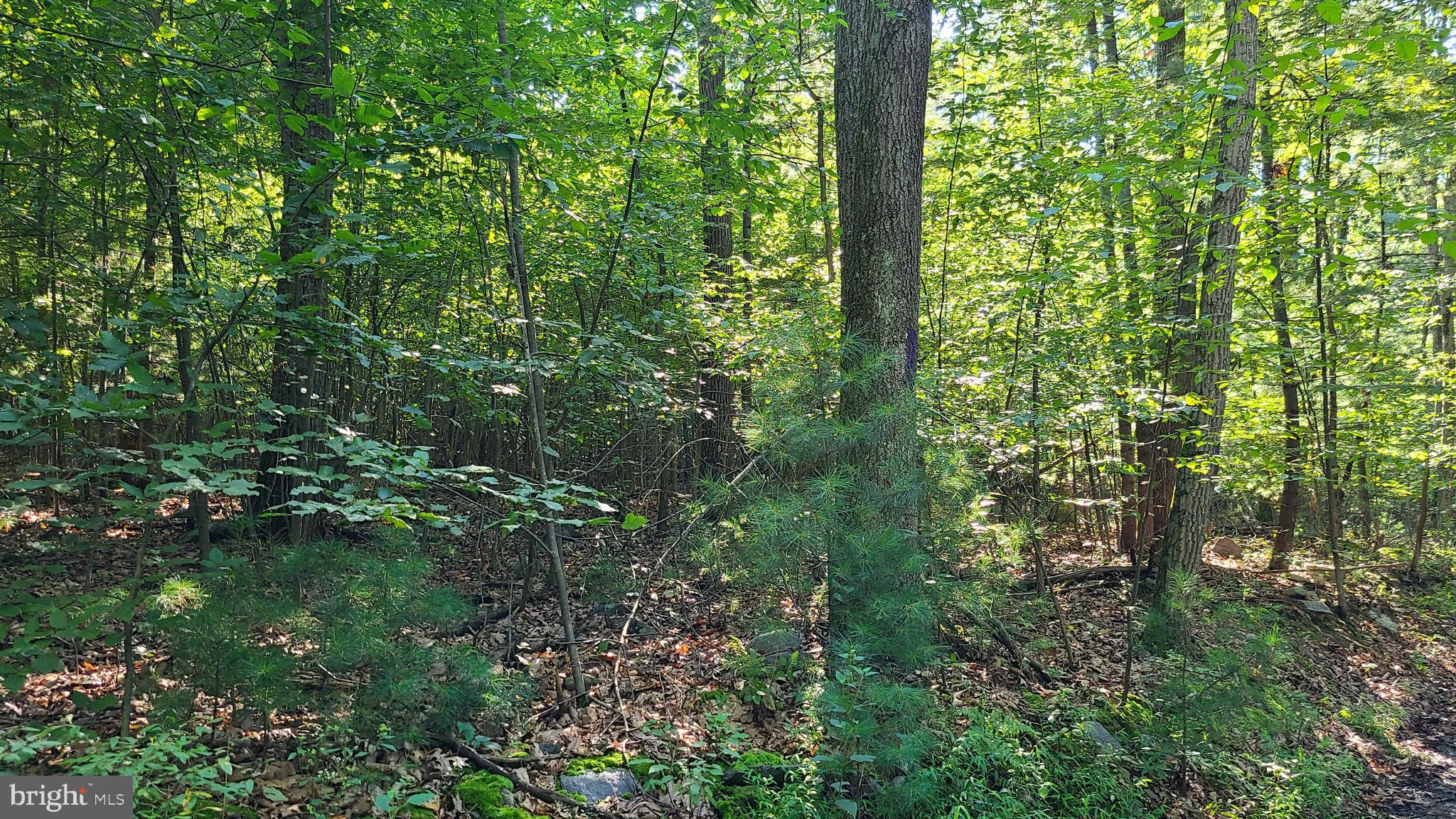 2825 County Line Road Gardners, PA 17324 - Photo 8 of 16 Gallery Image 8