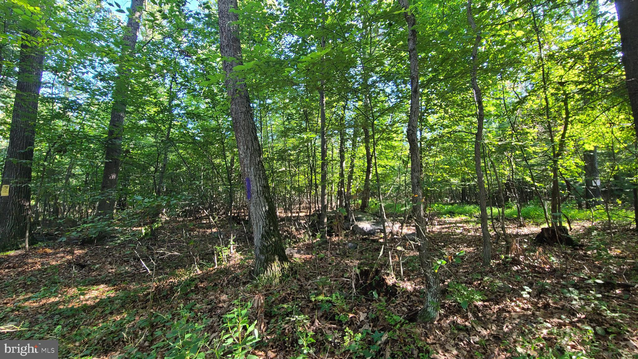 2825 County Line Road Gardners, PA 17324 - Photo 9 of 16 Gallery Image 9