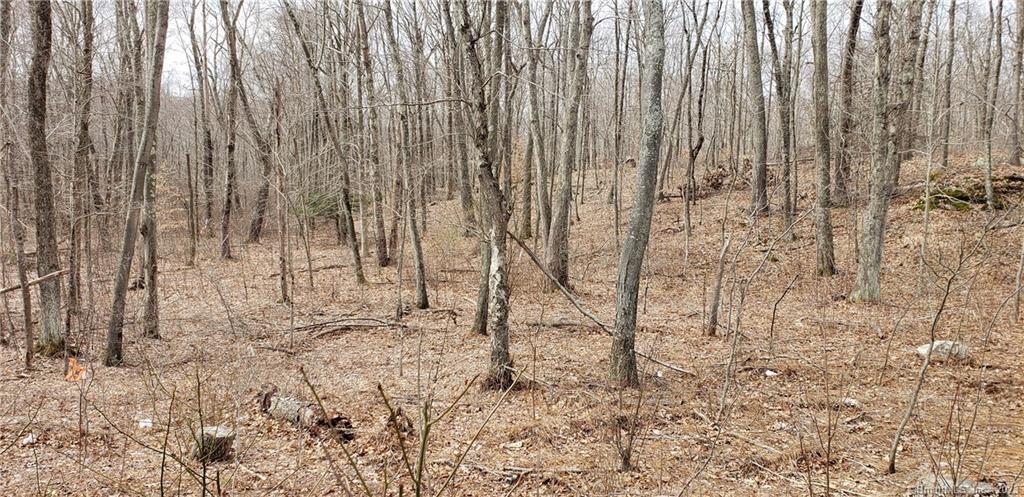849 A Middletown Road Colchester, CT 06415 - Photo 1 of 1 RURAL USE ZONING FLEXBILE USE 5.6 acre lot. Site development plan is available for a single family home.