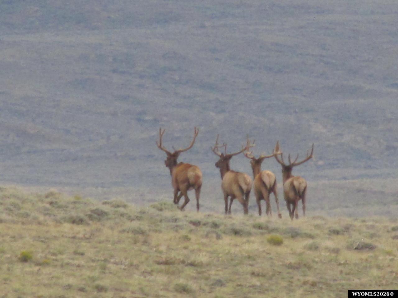 Shamrock Road Rawlins, WY 82301 - Photo 26 of 30