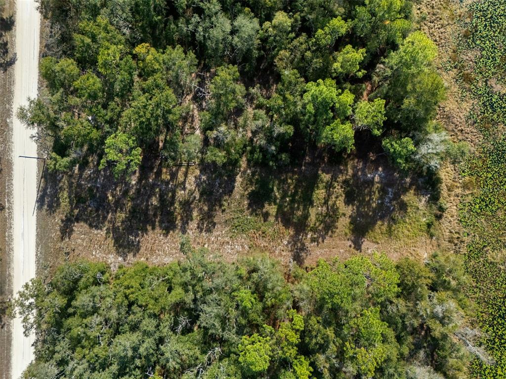 0 Alloy Street Webster, FL 33597 - Photo 12 of 23