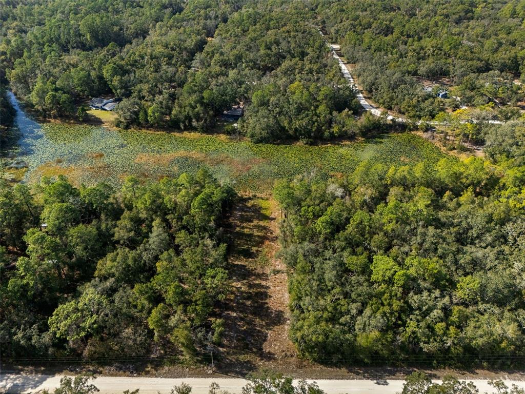 0 Alloy Street Webster, FL 33597 - Photo 13 of 23