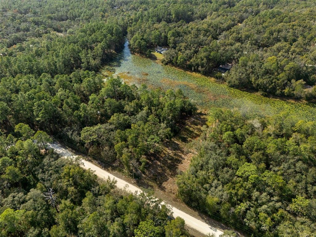 0 Alloy Street Webster, FL 33597 - Photo 14 of 23