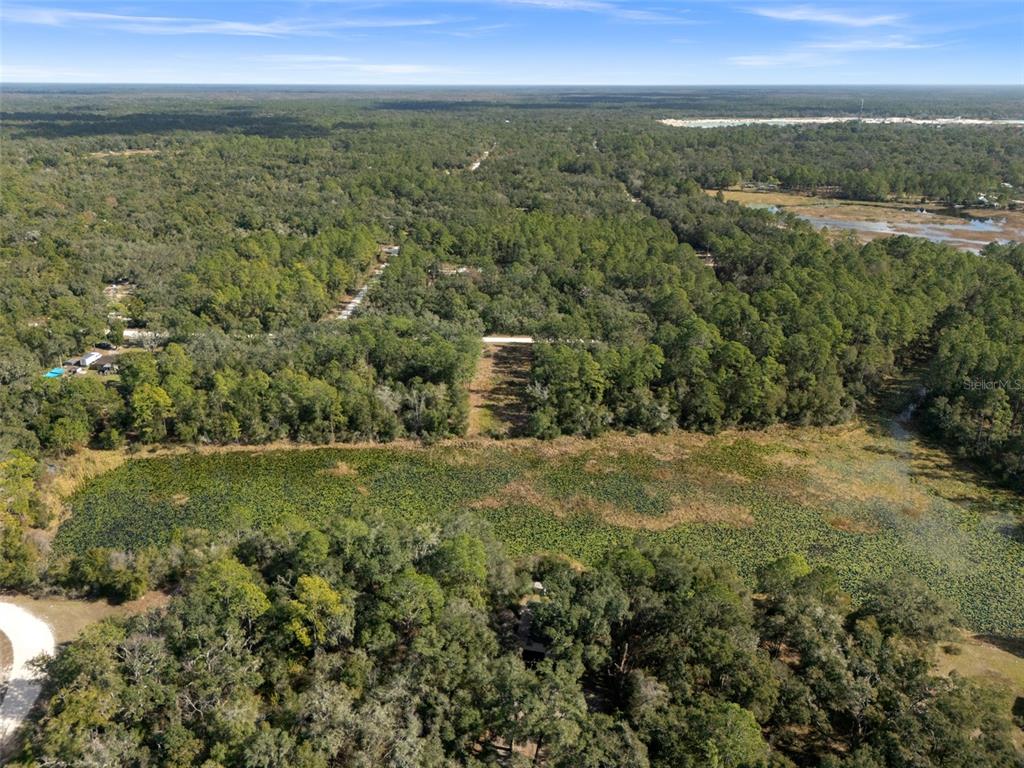 0 Alloy Street Webster, FL 33597 - Photo 17 of 23