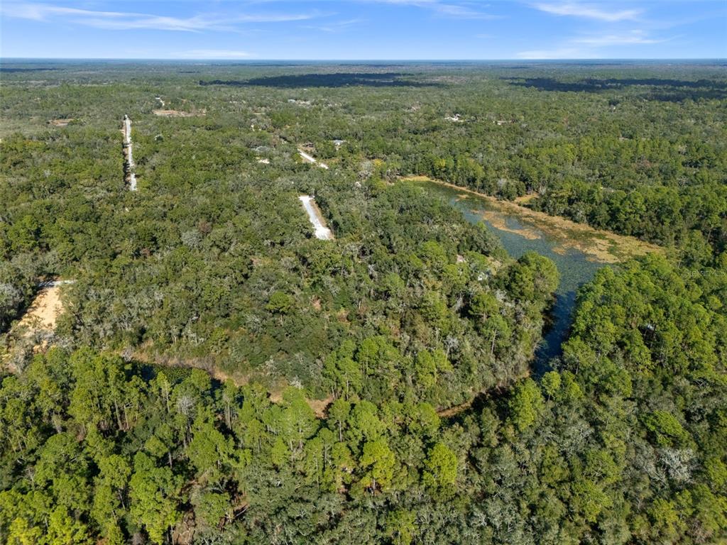 0 Alloy Street Webster, FL 33597 - Photo 19 of 23