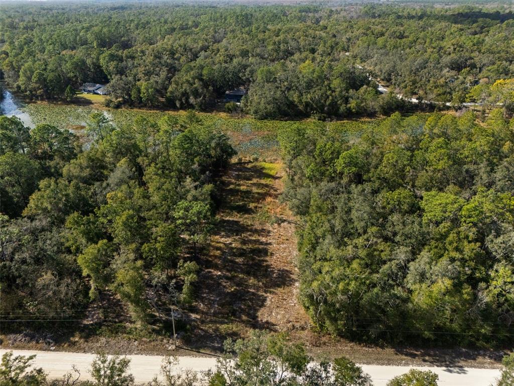 0 Alloy Street Webster, FL 33597 - Photo 2 of 23