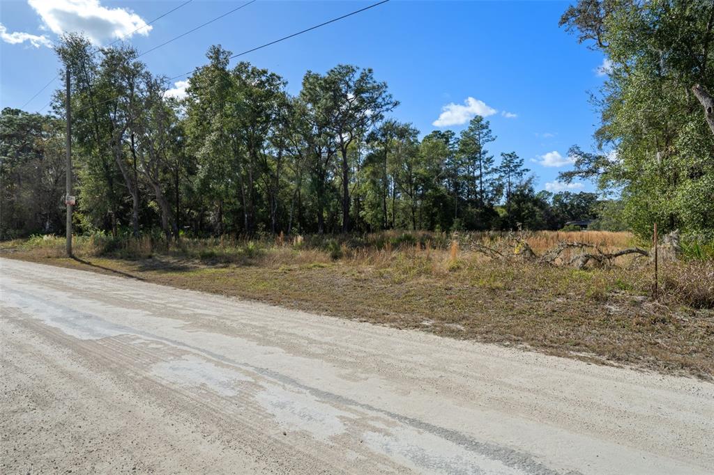 0 Alloy Street Webster, FL 33597 - Photo 21 of 23