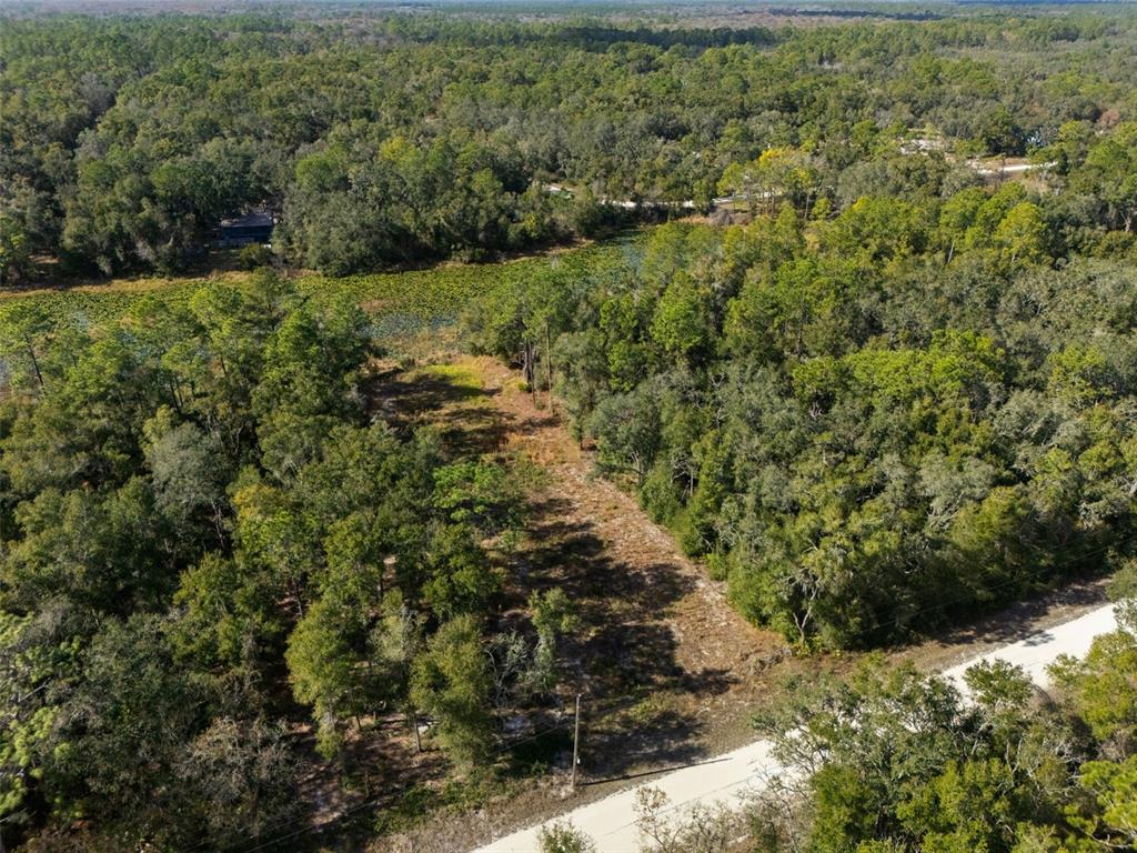 0 Alloy Street Webster, FL 33597 - Photo 3 of 23