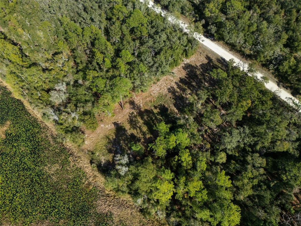 0 Alloy Street Webster, FL 33597 - Photo 6 of 23