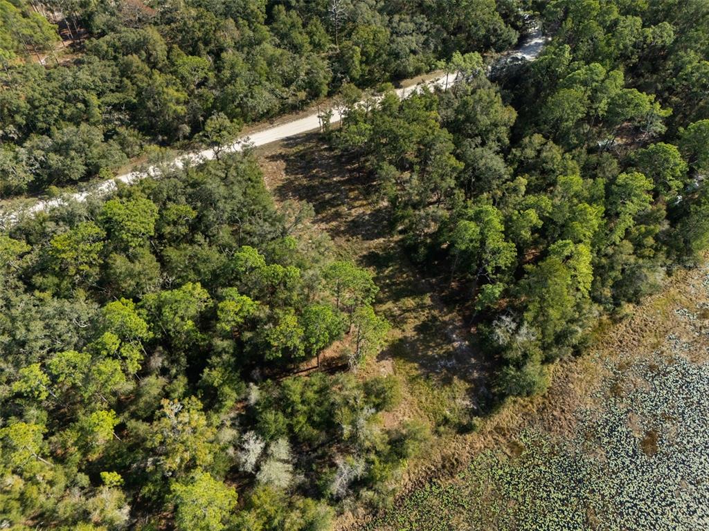 0 Alloy Street Webster, FL 33597 - Photo 9 of 23