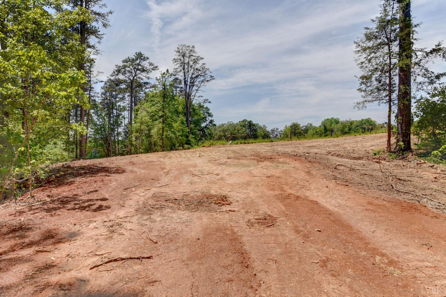 3-lot Goat Island Road Long Island, VA 24569 - Photo 14 of 15 a backyard of a house with lots of green space