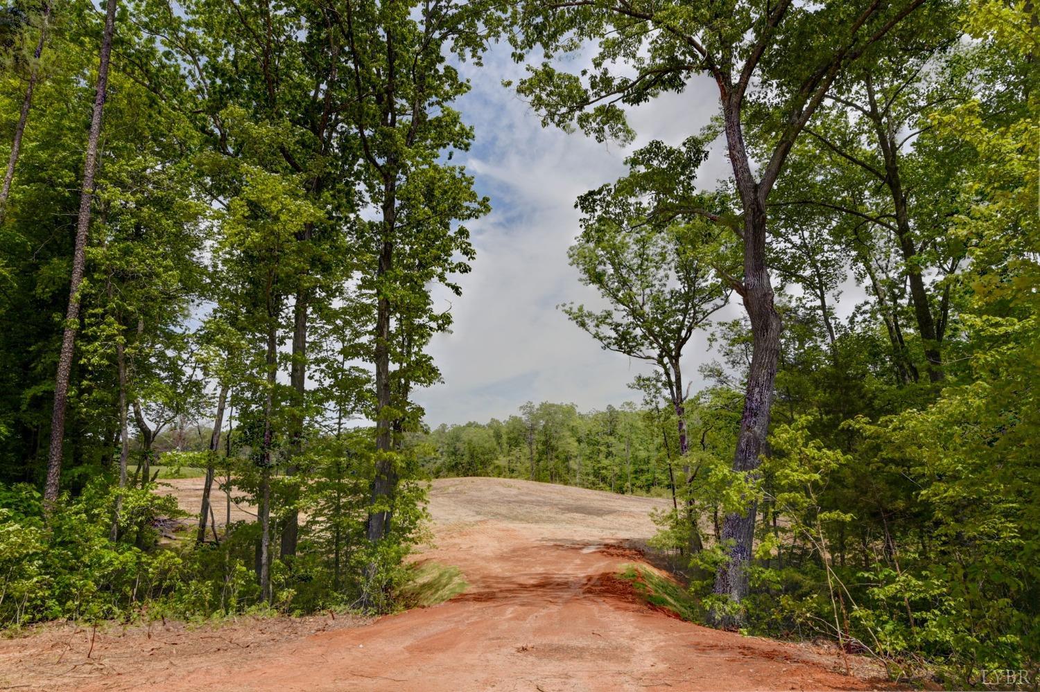 3-lot Goat Island Road Long Island, VA 24569 - Photo 2 of 15 a view of a lake with a tree