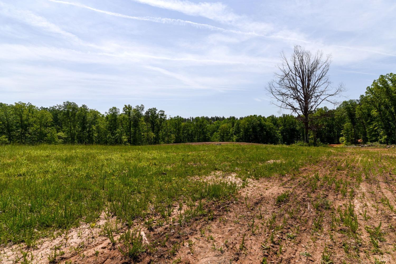 3-lot Goat Island Road Long Island, VA 24569 - Photo 10 of 15 a view of garden with trees