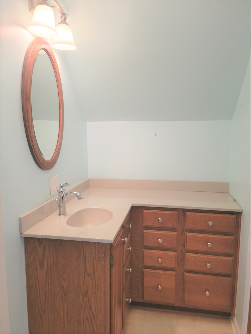 18715 Hebron Road Harvard, IL 60033 - Photo 36 of 54 a bathroom with a sink and a mirror