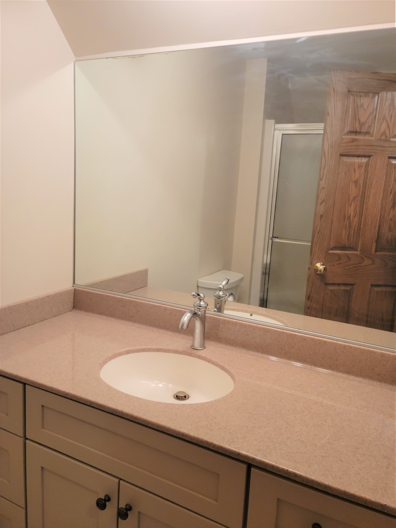 18715 Hebron Road Harvard, IL 60033 - Photo 44 of 54 a bathroom with a sink and a mirror