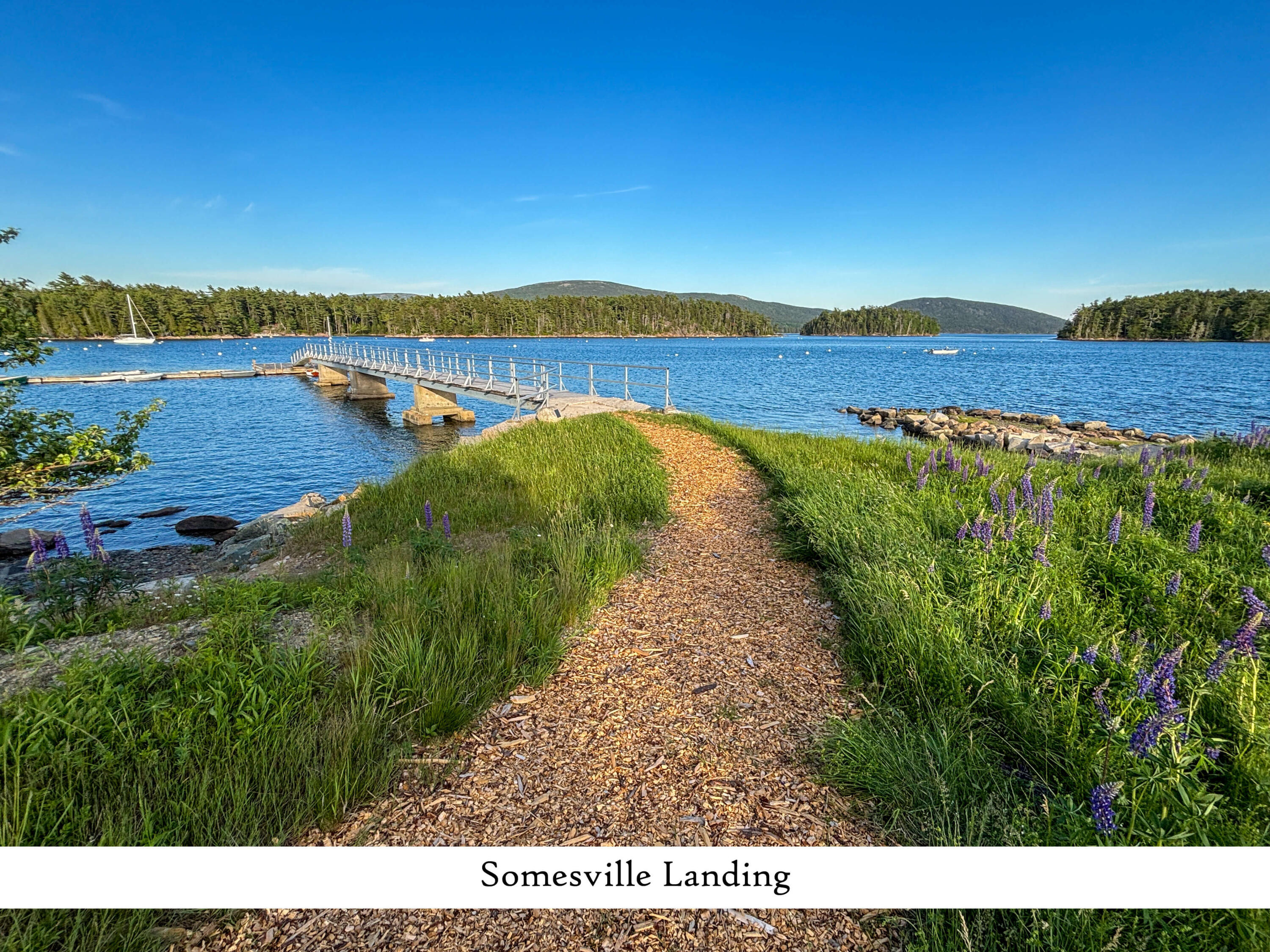 11 Brookside Road Mount Desert, ME 04660 - Photo 117 of 126 Somesville Landing (2), label