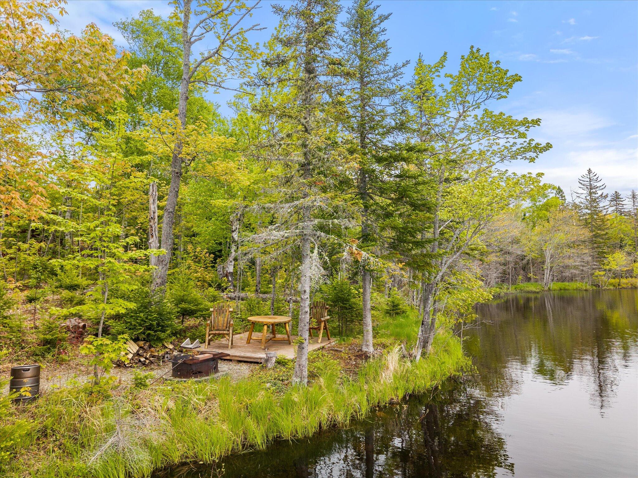 314 Atwood Pond Road Patten, ME 04765 - Photo 61 of 76 Shore frontage...