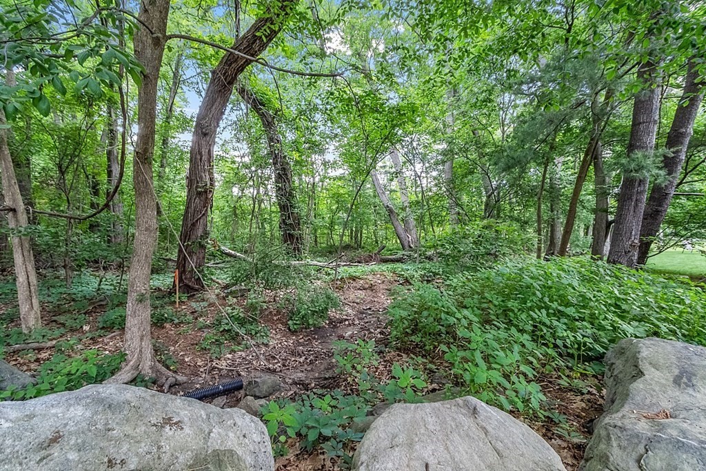 3 Hiawatha Road Woburn, MA 01801 - Photo 18 of 22 Gallery Image 18