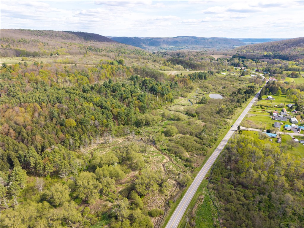 0 County Route 13 Bath, NY 14810 - Photo 20 of 26