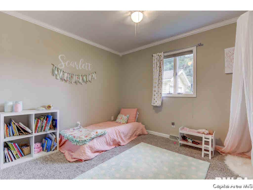 20 Taft Drive Rochester, IL 62563 - Photo 28 of 36