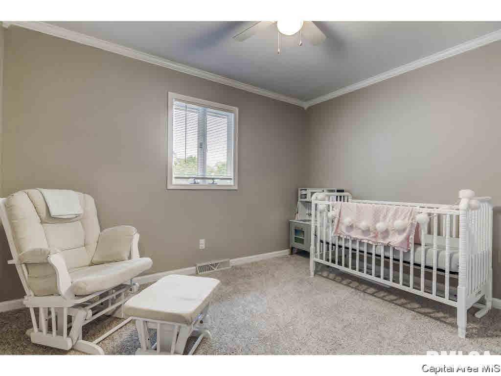 20 Taft Drive Rochester, IL 62563 - Photo 30 of 36