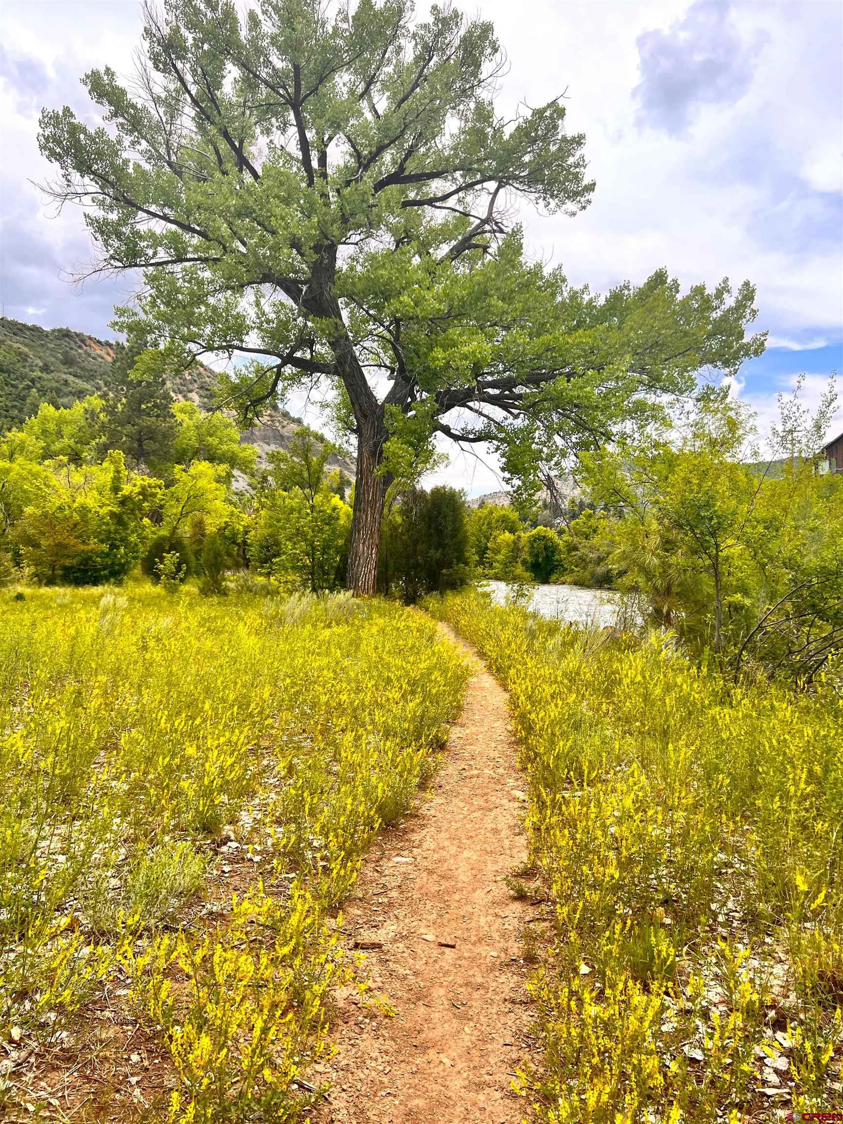 485 Florida Road, Unit C5 Durango, CO 81301 - Photo 38 of 40 a view of ocean view